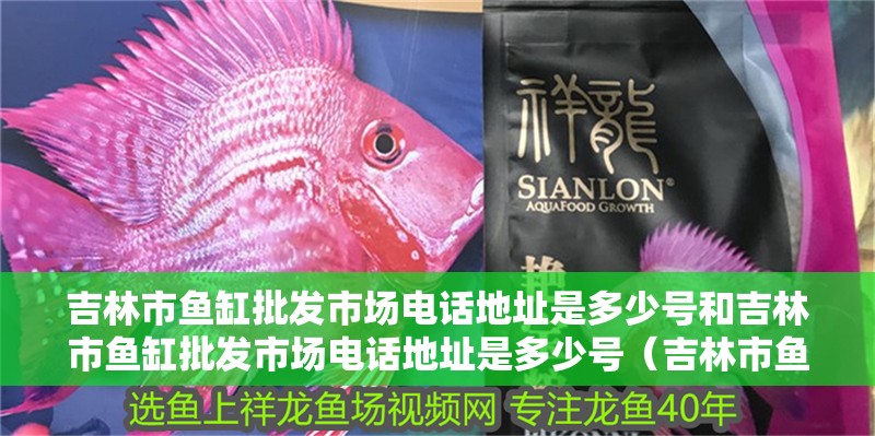 吉林市魚缸批發市場電話地址是多少號和吉林市魚缸批發市場電話地址是多少號（吉林市魚缸批發市場電話地址是多少號）