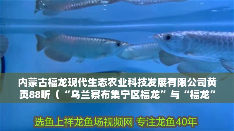 內蒙古福龍現代生態農業科技發展有限公司黃頁88聽（“烏蘭察布集寧區福龍”與“福龍”相關企業的詳細情況）