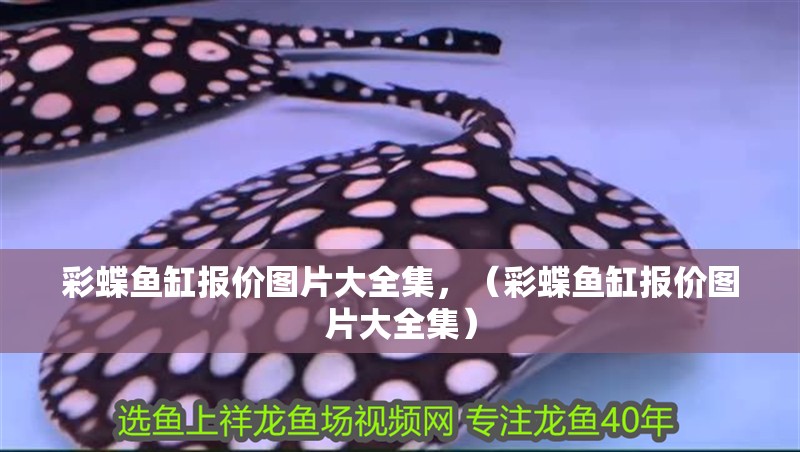 彩蝶魚缸報價圖片大全集，（彩蝶魚缸報價圖片大全集）