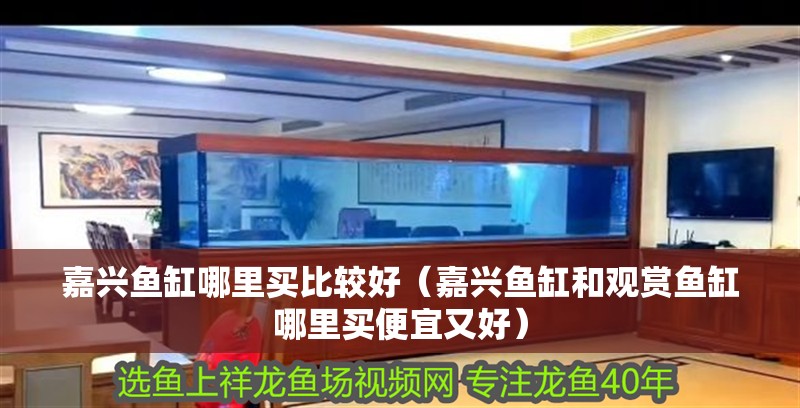 嘉興魚(yú)缸哪里買(mǎi)比較好（嘉興魚(yú)缸和觀賞魚(yú)缸哪里買(mǎi)便宜又好）