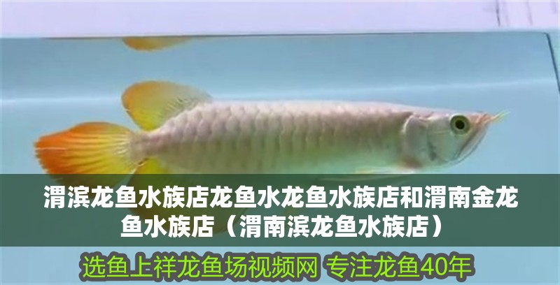 渭濱龍魚水族店龍魚水龍魚水族店和<strong><mark>渭南</mark></strong>金龍魚水族店（<strong><mark>渭南</mark></strong>濱龍魚水族店）