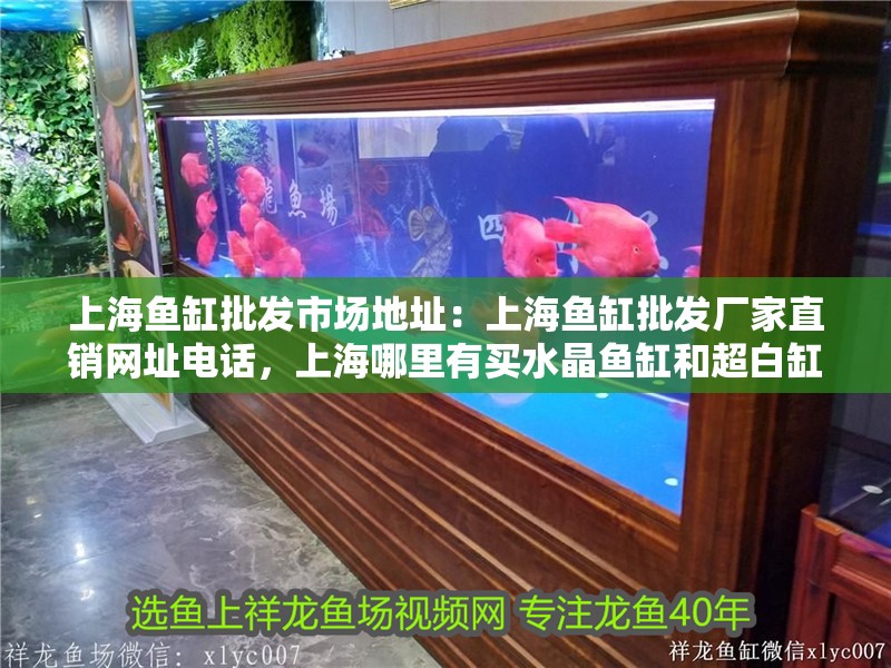 上海魚缸批發市場地址：上海魚缸批發廠家直銷網址電話，上海哪里有買水晶魚缸和超白缸