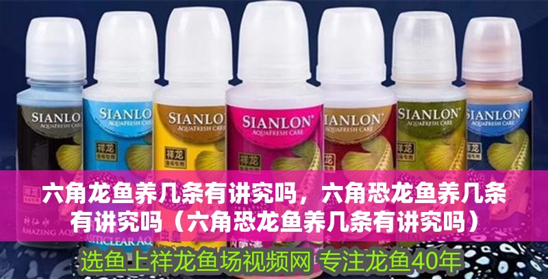 六角龍魚養幾條有講究嗎，六角恐龍魚養幾條有講究嗎（六角恐龍魚養幾條有講究嗎）