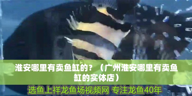 淮安哪里有賣魚缸的？（廣州淮安哪里有賣魚缸的實(shí)體店）