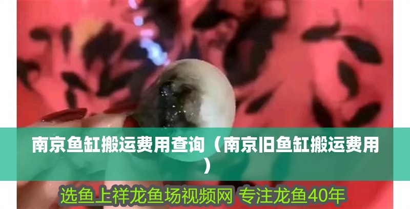 <strong><mark>南京</mark></strong>魚缸搬運費用查詢（<strong><mark>南京</mark></strong>舊魚缸搬運費用）