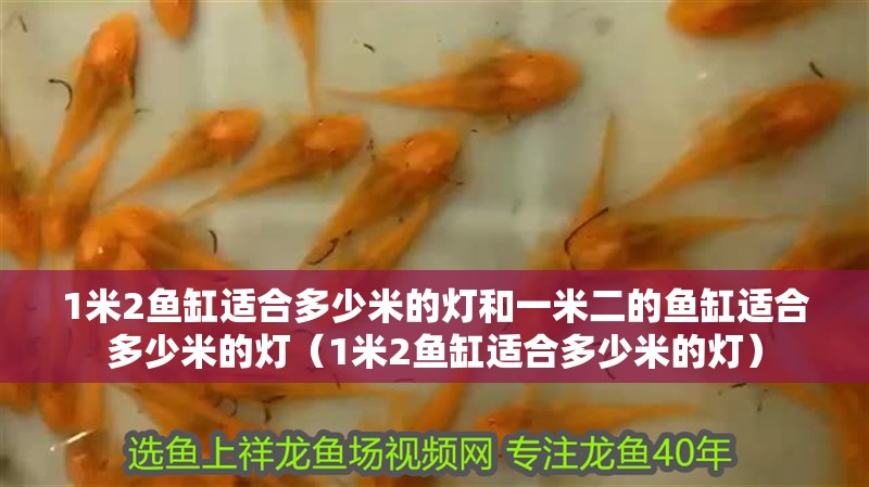 1米2魚缸適合多少米的燈和一米二的魚缸適合多少米的燈（1米2魚缸適合多少米的燈）