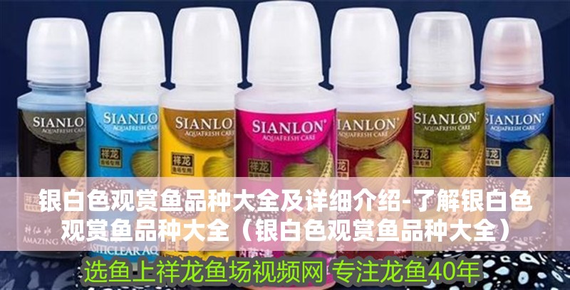 銀白色觀賞魚品種大全及詳細介紹-了解銀白色觀賞魚品種大全（銀白色觀賞魚品種大全）