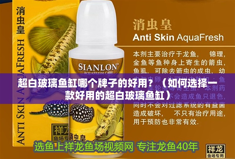 超白玻璃魚缸哪個牌子的好用？（如何選擇一款好用的超白玻璃魚缸）