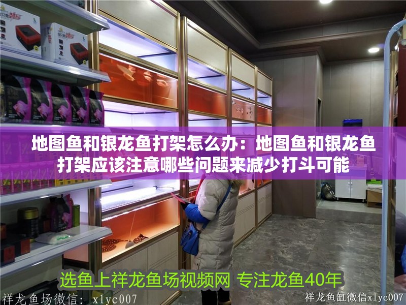地圖魚(yú)和銀龍魚(yú)打架怎么辦：地圖魚(yú)和銀龍魚(yú)打架應(yīng)該注意哪些問(wèn)題來(lái)減少打斗可能