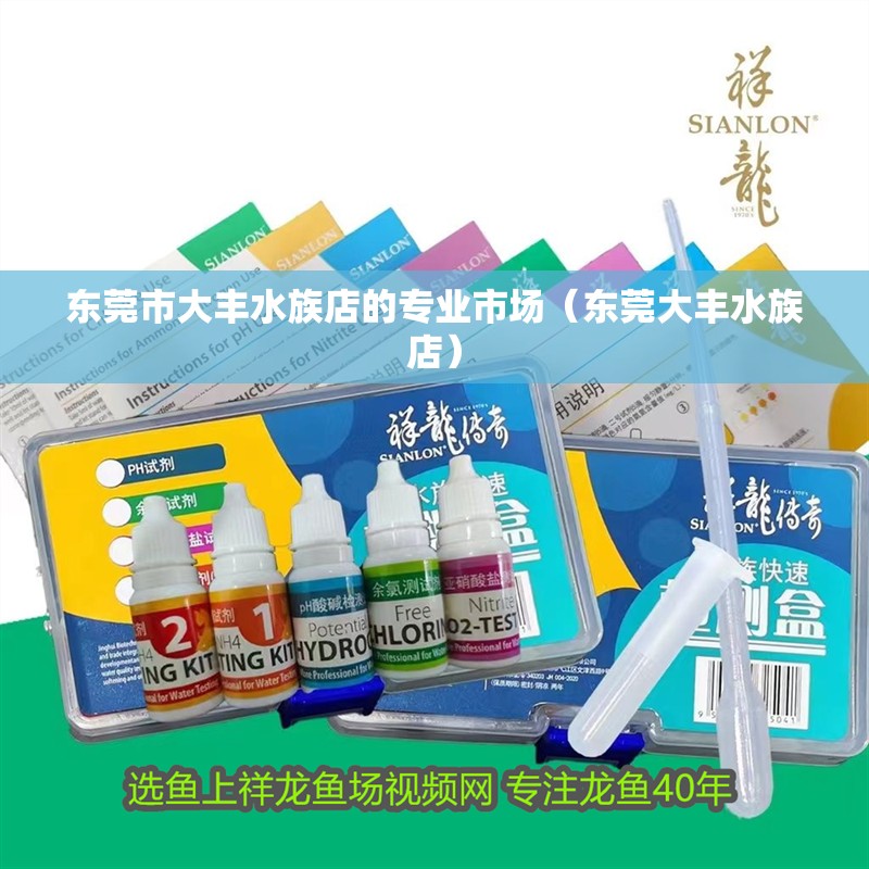 東莞市大豐水族店的專業(yè)市場（東莞大豐水族店）