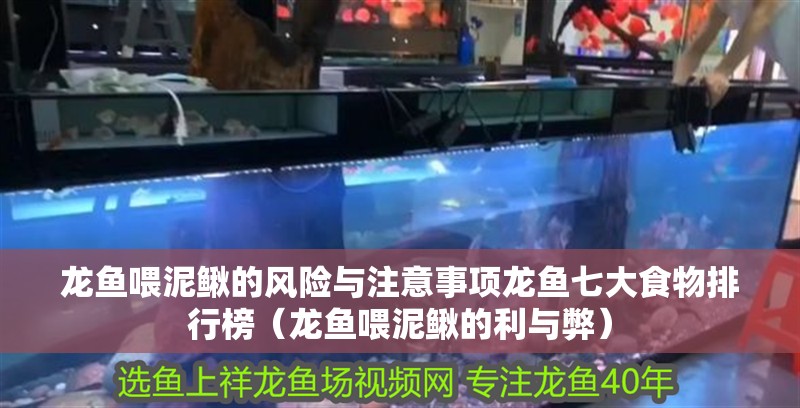 龍魚喂泥鰍的風險與注意事項龍魚七大食物排行榜（龍魚喂泥鰍的利與弊）