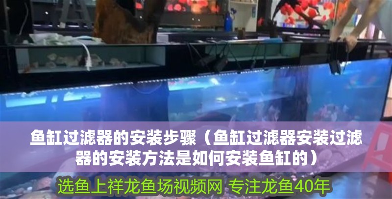 魚缸過濾器的安裝步驟（魚缸過濾器安裝過濾器的安裝方法是如何安裝魚缸的）
