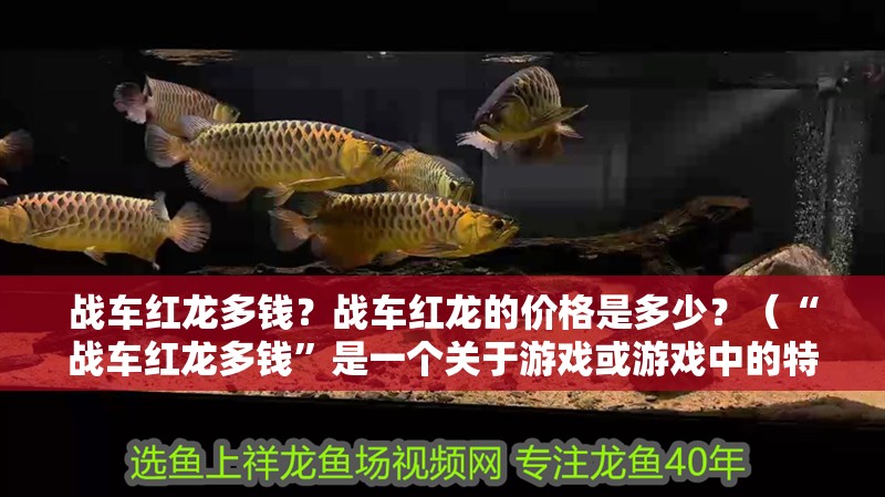 戰車紅龍多錢？戰車紅龍的價格是多少？（“戰車紅龍多錢”是一個關于游戲或游戲中的特定角色）