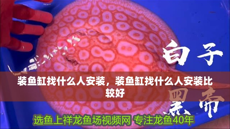 裝魚缸找什么人安裝，裝魚缸找什么人安裝比較好
