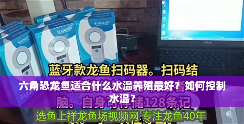 六角恐龍魚適合什么水溫養殖最好？如何控制水溫？