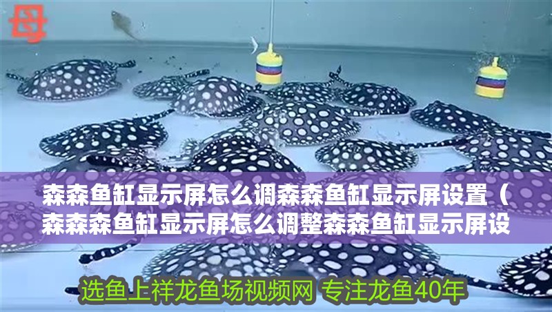 森森魚缸顯示屏怎么調森森魚缸顯示屏設置（森森森魚缸顯示屏怎么調整森森魚缸顯示屏設置事項）