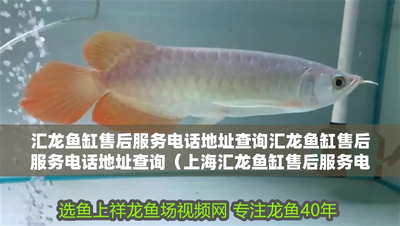 匯龍魚缸售后服務(wù)電話地址查詢匯龍魚缸售后服務(wù)電話地址查詢（上海匯龍魚缸售后服務(wù)電話地址查詢）