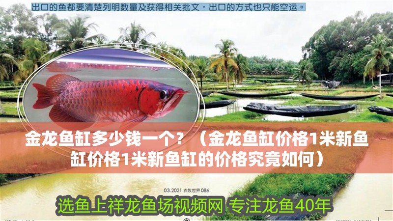 金龍魚缸多少錢一個？（金龍魚缸價格1米新魚缸價格1米新魚缸的價格究竟如何）