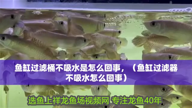 魚缸過濾桶不吸水是怎么回事，（魚缸過濾器不吸水怎么回事）