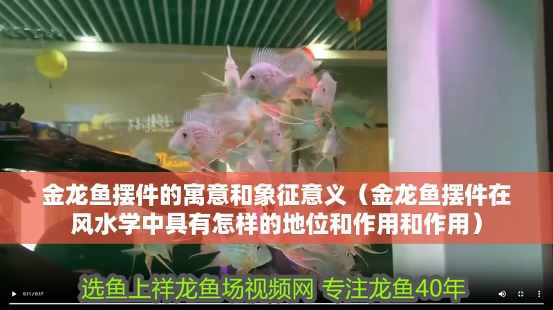 金龍魚擺件的寓意和象征意義（金龍魚擺件在風水學中具有怎樣的地位和作用和作用）