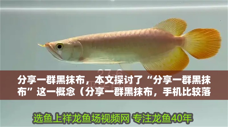 分享一群黑抹布，本文探討了“分享一群黑抹布”這一概念（分享一群黑抹布，手機比較落后）