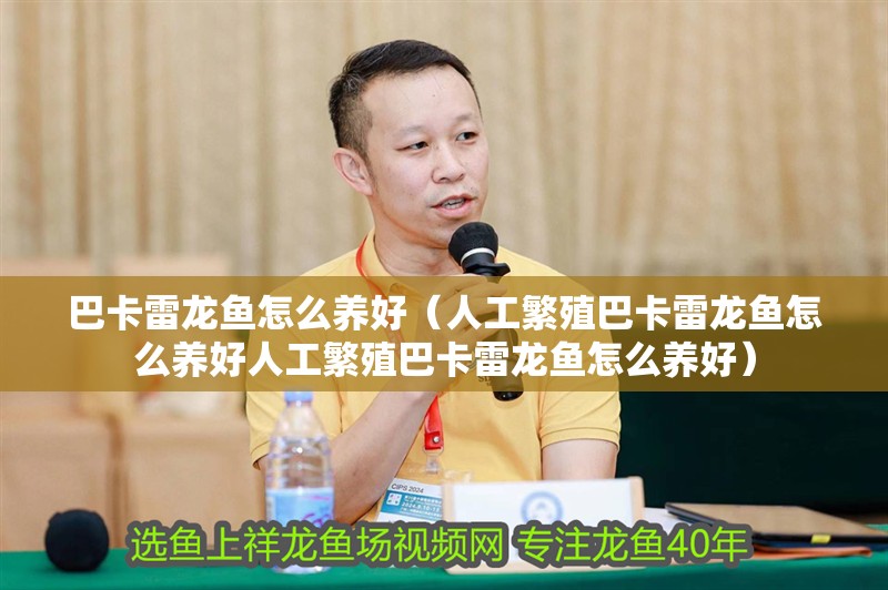 巴卡雷龍魚怎么養好（人工繁殖巴卡雷龍魚怎么養好人工繁殖巴卡雷龍魚怎么養好）
