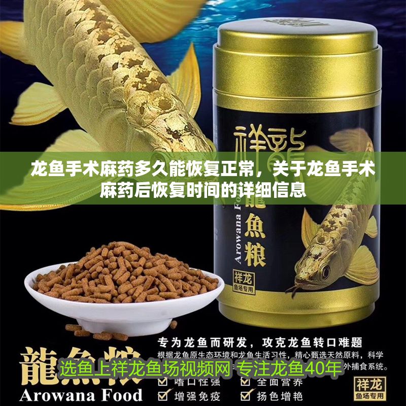 龍魚手術麻藥多久能恢復正常，關于龍魚手術麻藥后恢復時間的詳細信息