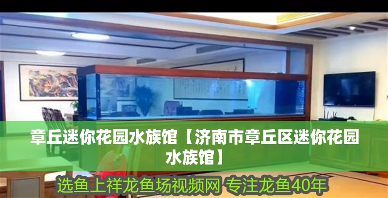 <strong><mark>章丘</mark></strong>迷你花園水族館【濟南市<strong><mark>章丘</mark></strong>區迷你花園水族館】