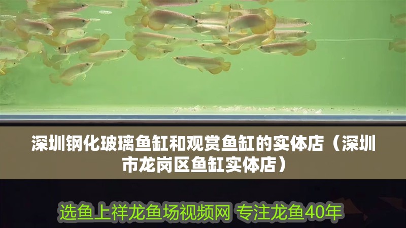 深圳鋼化玻璃魚缸和觀賞魚缸的實體店（深圳市龍崗區魚缸實體店）