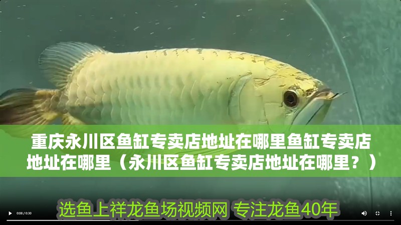 重慶永川區魚缸專賣店地址在哪里魚缸專賣店地址在哪里（永川區魚缸專賣店地址在哪里？）