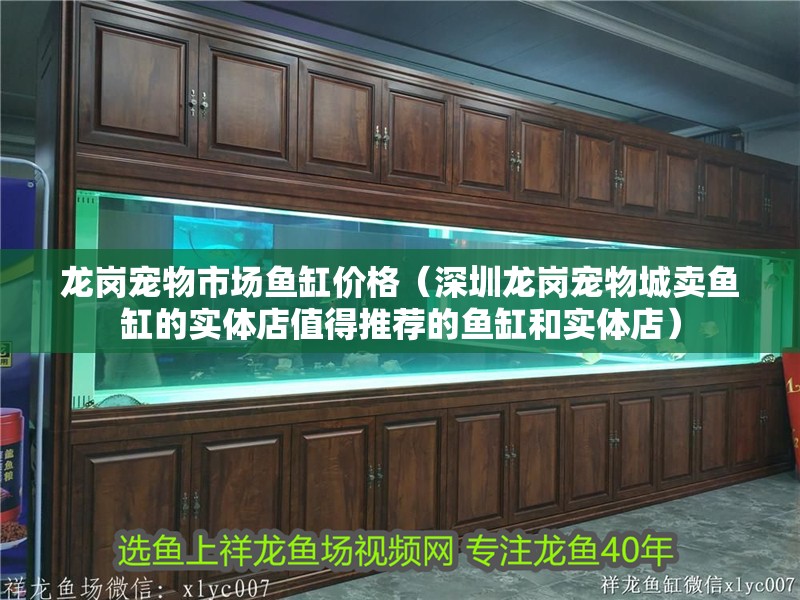 龍崗寵物市場(chǎng)魚(yú)缸價(jià)格（深圳龍崗寵物城賣(mài)魚(yú)缸的實(shí)體店值得推薦的魚(yú)缸和實(shí)體店）