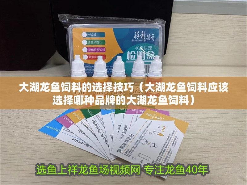 大湖龍魚飼料的選擇技巧（大湖龍魚飼料應該選擇哪種品牌的大湖龍魚飼料）