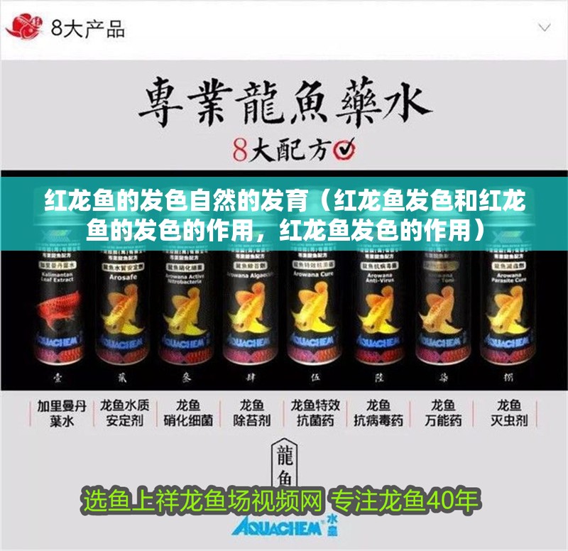紅龍魚的發色自然的發育（紅龍魚發色和紅龍魚的發色的作用，紅龍魚發色的作用）
