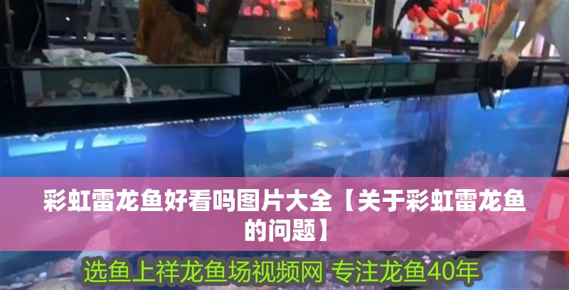彩虹雷龍魚好看嗎圖片大全【關于彩虹雷龍魚的問題】