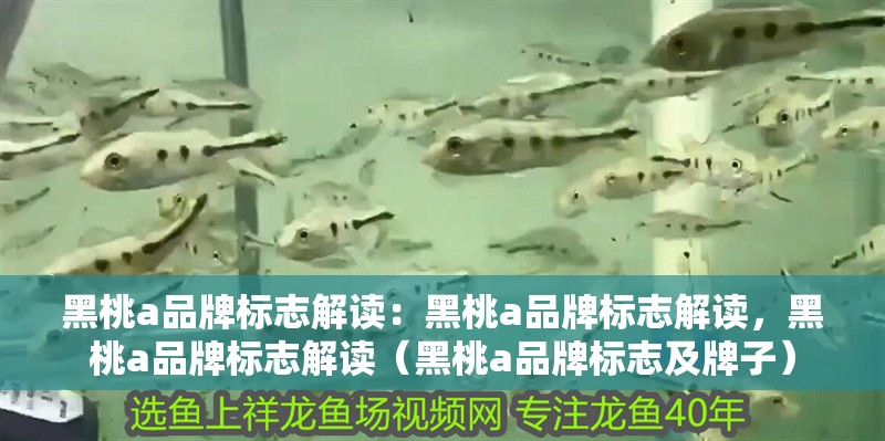 黑桃a品牌標(biāo)志解讀：黑桃a品牌標(biāo)志解讀，黑桃a品牌標(biāo)志解讀（黑桃a品牌標(biāo)志及牌子）