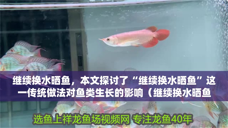 繼續換水曬魚，本文探討了“繼續換水曬魚”這一傳統做法對魚類生長的影響（繼續換水曬魚，不敢家外有家）