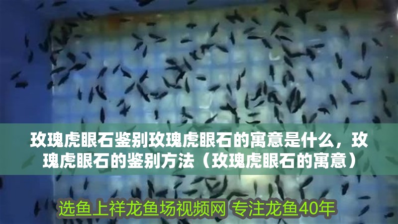 玫瑰虎眼石鑒別玫瑰虎眼石的寓意是什么，玫瑰虎眼石的鑒別方法（玫瑰虎眼石的寓意）