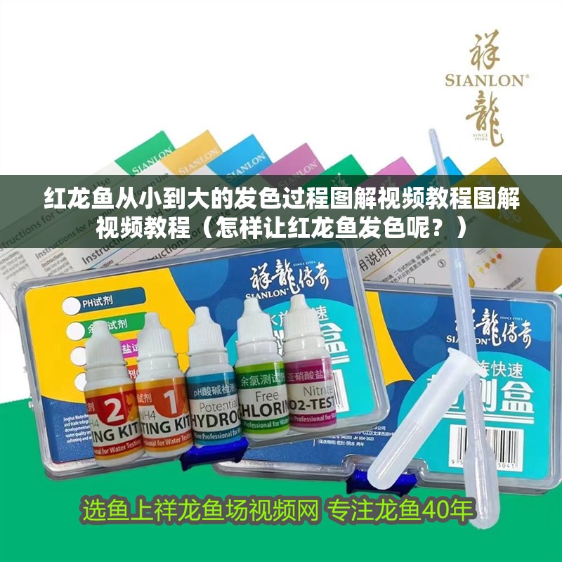 紅龍魚從小到大的發色過程圖解視頻教程圖解視頻教程（怎樣讓紅龍魚發色呢？）