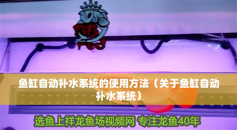 魚缸自動補水系統的使用方法（關于魚缸自動補水系統）