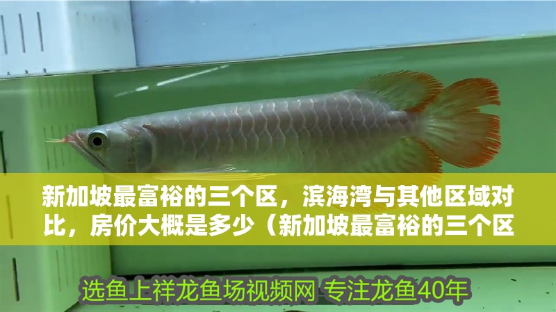 新加坡最富裕的三個區(qū)，濱海灣與其他區(qū)域?qū)Ρ龋績r大概是多少（新加坡最富裕的三個區(qū)）