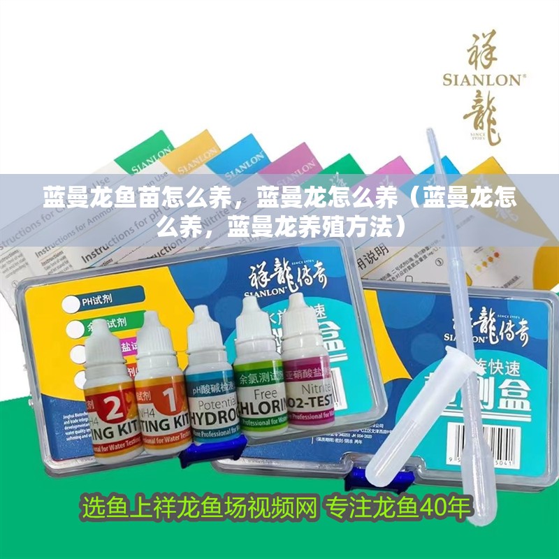 藍曼龍魚苗怎么養，藍曼龍怎么養（藍曼龍怎么養，藍曼龍養殖方法）