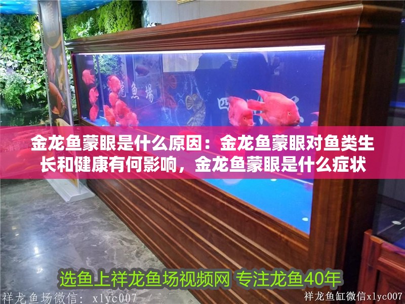 金龍魚蒙眼是什么原因：金龍魚蒙眼對魚類生長和健康有何影響，金龍魚蒙眼是什么癥狀