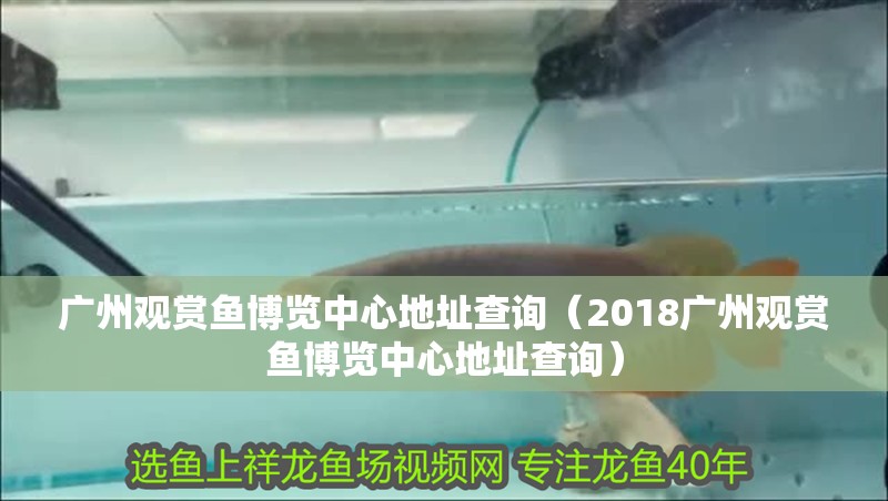 廣州觀賞魚博覽中心地址查詢（2018廣州觀賞魚博覽中心地址查詢）