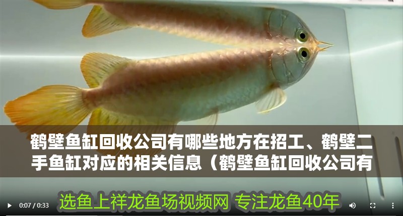 鶴壁魚缸回收公司有哪些地方在招工、鶴壁二手魚缸對應的相關信息（鶴壁魚缸回收公司有哪些地方在招工）