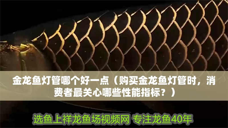 金龍魚燈管哪個(gè)好一點(diǎn)（購(gòu)買金龍魚燈管時(shí)，消費(fèi)者最關(guān)心哪些性能指標(biāo)？）