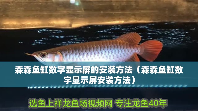 森森魚缸數(shù)字顯示屏的安裝方法（森森魚缸數(shù)字顯示屏安裝方法）