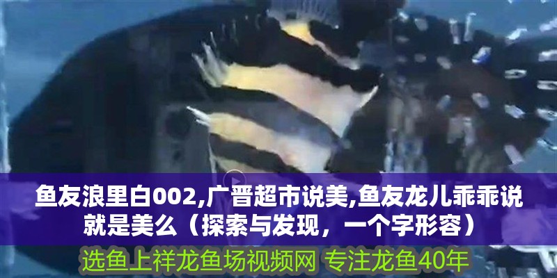 魚友浪里白002,廣晉超市說美,魚友龍兒乖乖說就是美么（探索與發現，一個字形容）