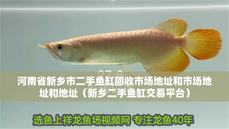 詳細閱讀:<strong><mark>河南</mark></strong>省新鄉(xiāng)市二手魚缸回收市場地址和市場地址和地址(新鄉(xiāng)二手魚缸交易平臺) <strong><mark>河南</mark></strong>省新鄉(xiāng)市二手魚缸回收市場地址和市場地址和地址(新鄉(xiāng)二手魚缸交易平臺)