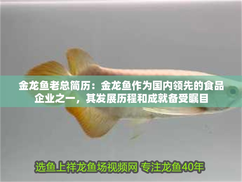 金龍魚老總簡歷：金龍魚作為國內(nèi)領(lǐng)先的食品企業(yè)之一，其發(fā)展歷程和成就備受矚目