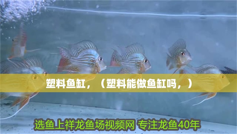 塑料魚缸，（塑料能做魚缸嗎，）